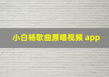 小白杨歌曲原唱视频 app